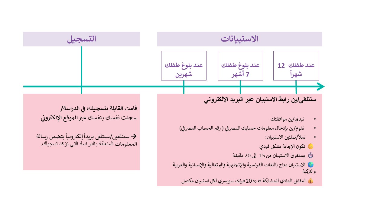 Timeline