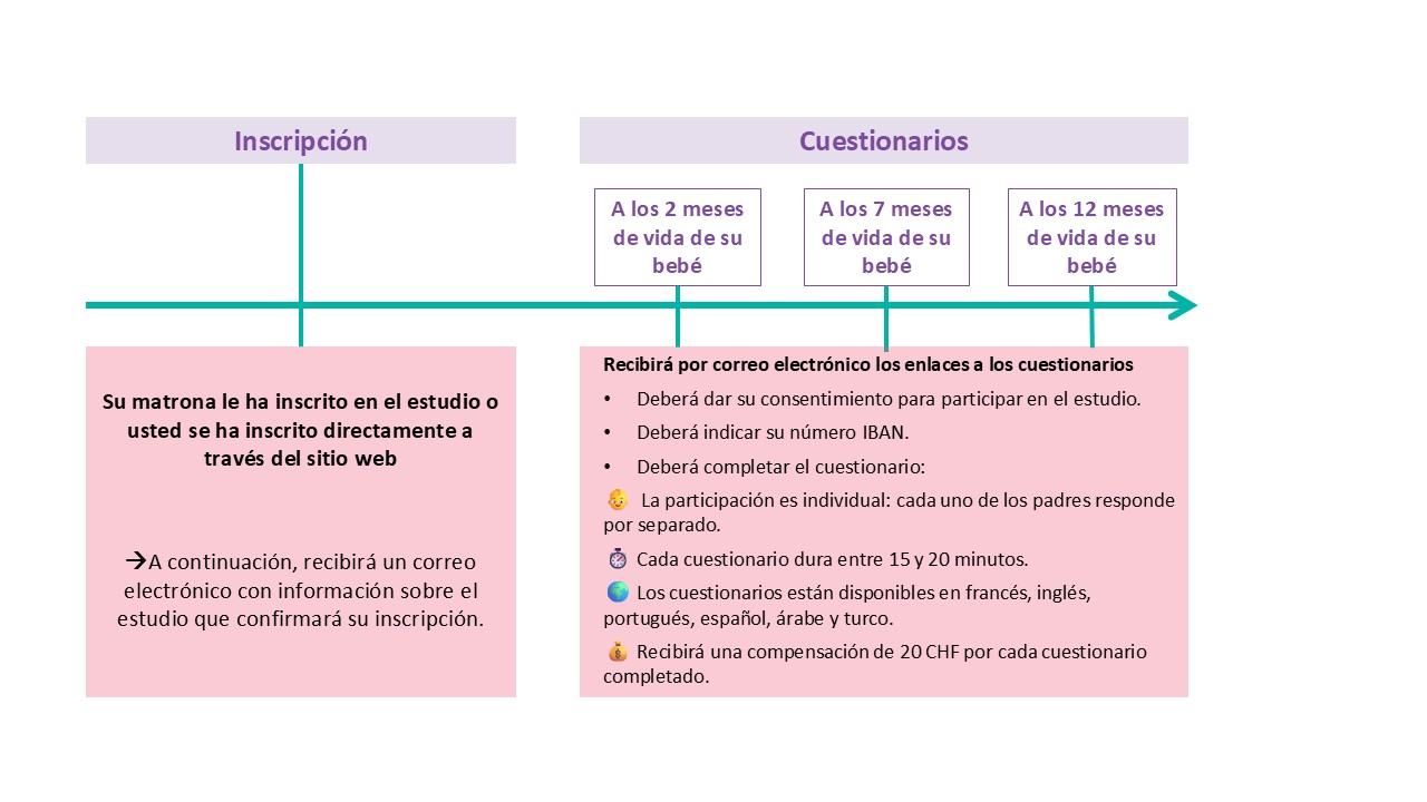 Timeline