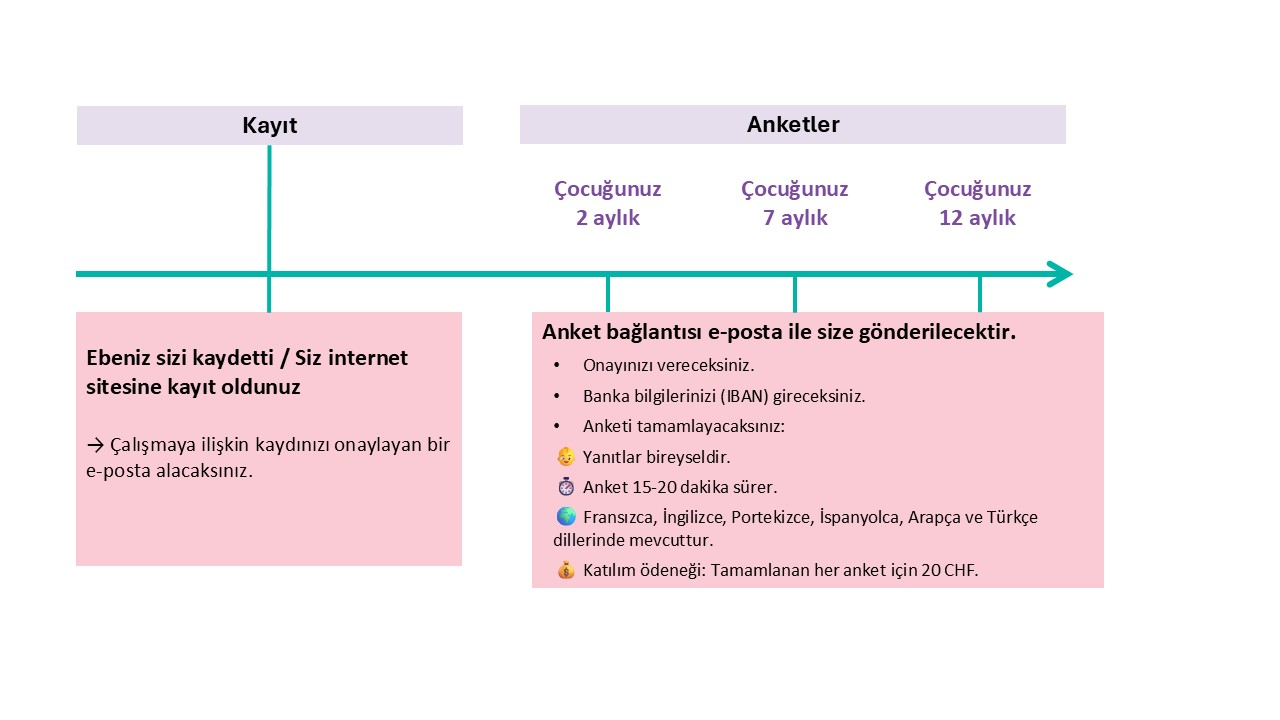Timeline